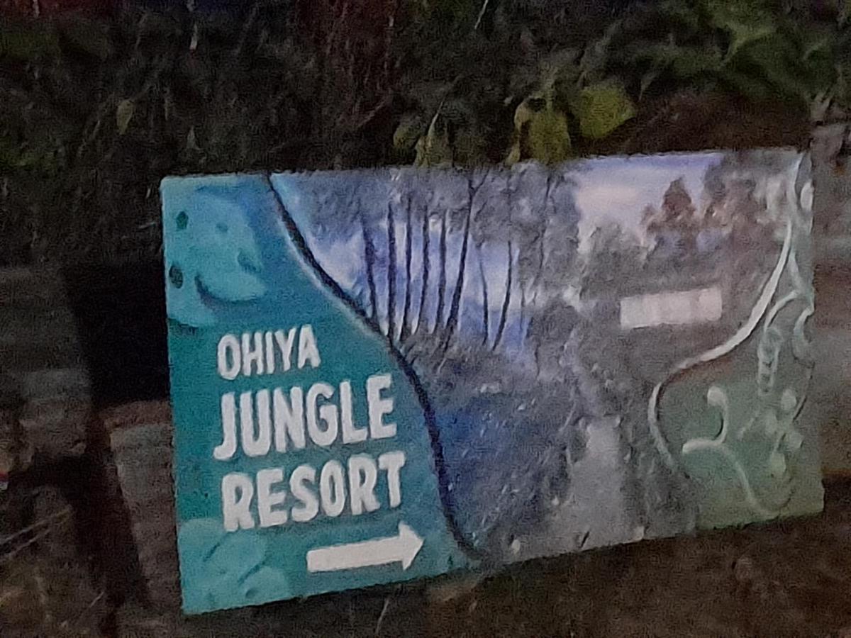 Ohiya Jungle Resort Eksteriør bilde