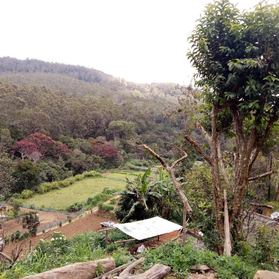 Ohiya Jungle Resort Eksteriør bilde